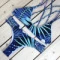 Bade-Zweiteiler mit seitlichem Riemchenmuster und botanischem Print